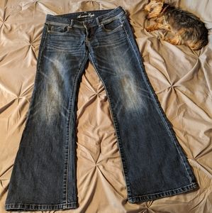 American Eagle Jeans - Yorkie not included 😊